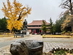 -苏州碑刻博物馆