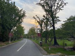 -东方绿舟景区