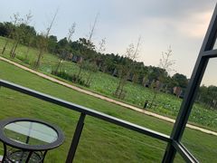 -上海怡沁园度假酒店