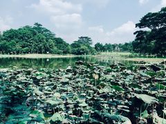 -大屏嶂森林公园