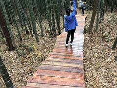 -南京市无想山景区