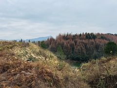 -山王坪喀斯特国家生态公园