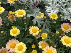 -上海植物园-4号门售票处