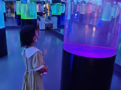 -洛阳龙门海洋馆