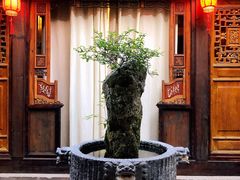 -哈哈曲艺社(西门闲亭店)