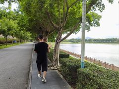 -艾米稻香小镇