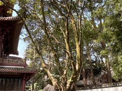 -李白纪念馆
