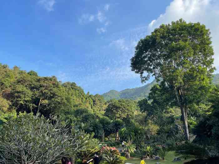 深圳市中科院仙湖植物園