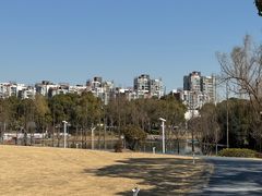 -新江湾城公园