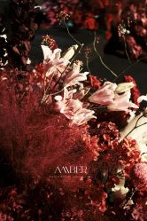 点击看大图 -琥珀婚礼策划AMBER WEDDING