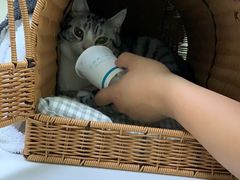 -美联众合动物医院·24h转诊中心