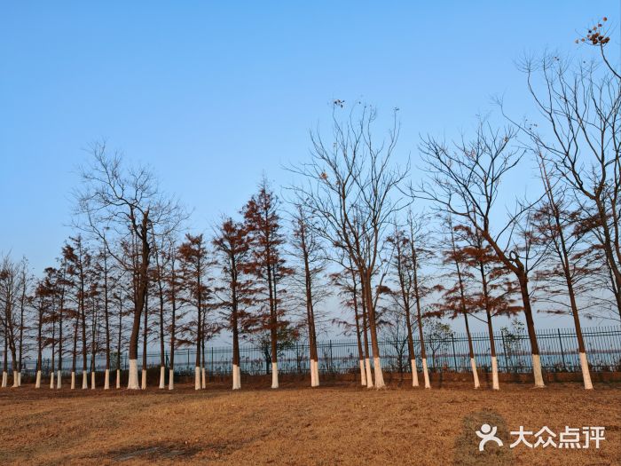 江滩湿地公园图片