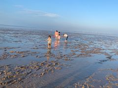 -南汇嘴观海公园