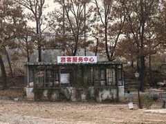 -金石滩蓝莓谷庄园