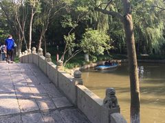 -瀛洲公园