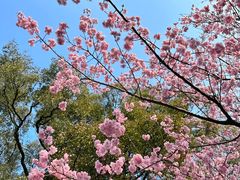 -南山植物园