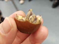-金粒门·新鲜零食(坡子街店)