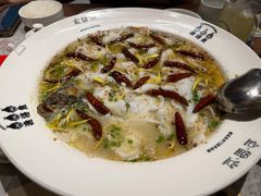 -渔语鱼新川菜Bistro(万象天地店)