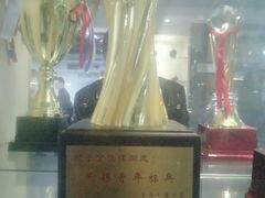 -丁俊晖台球俱乐部(海上海·弘基休闲广场店)