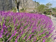 -铜锣山矿山公园