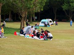 -吴淞炮台湾湿地森林公园烧烤区