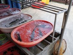 -阿伍海鲜大排档(塔湾金沙店)