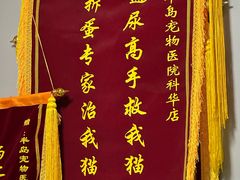 -半岛宠物医院24小时(科华中路店)