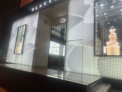 -BLACKSWAN黑天鹅(环球店)