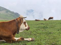 -灵山