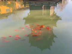 -圆通寺
