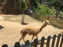 -泉州海丝野生动物世界