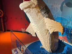 -沈阳海洋探索中心