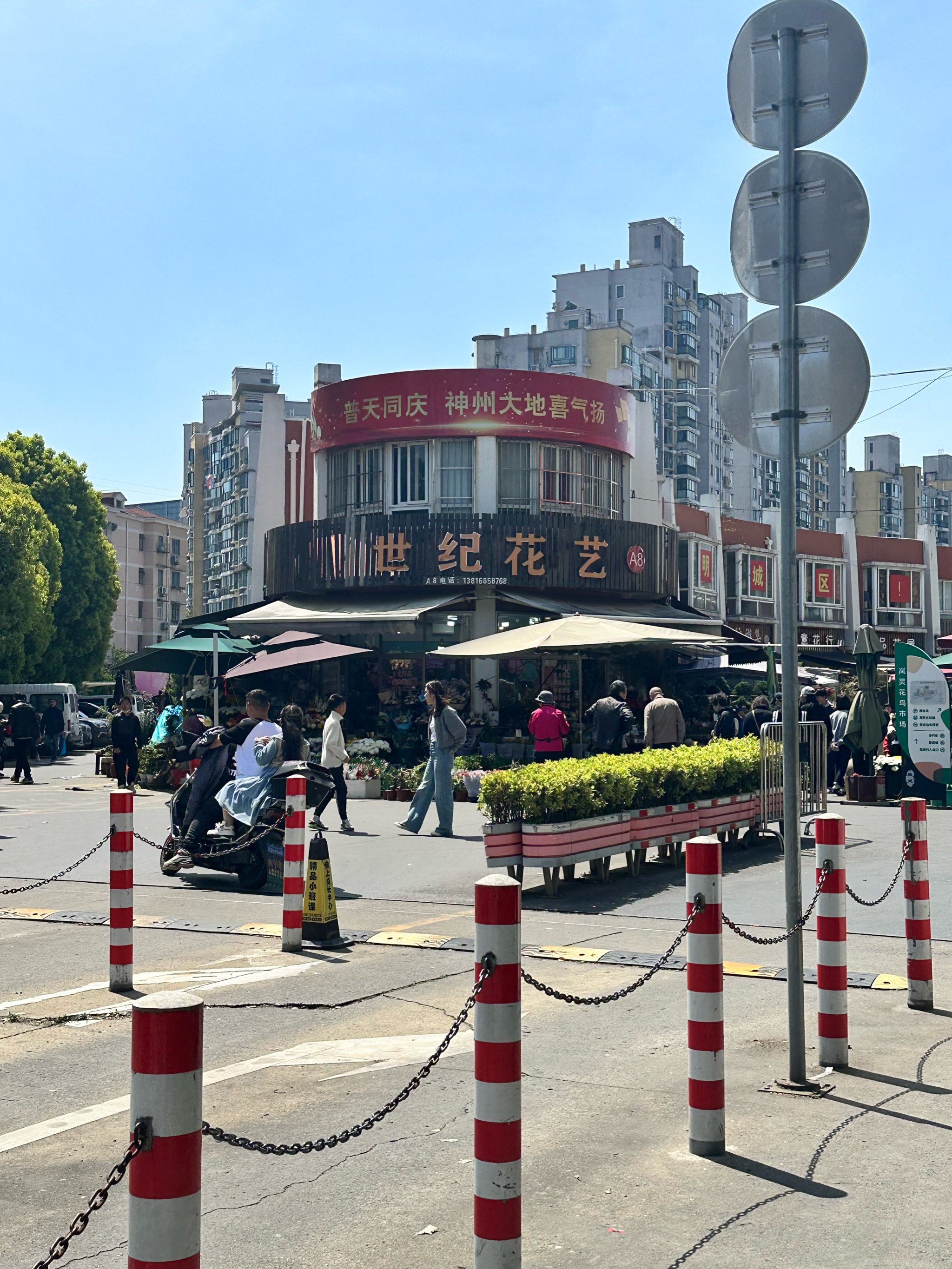 北京花鸟市场图片