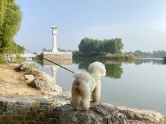 -马家湾湿地公园