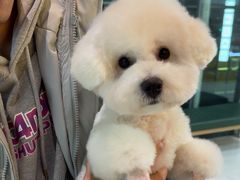 -帕帕拉兹宠物(亚洲旗舰店)