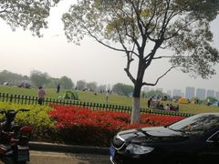 -江阴敔山湖公园