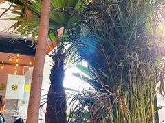 -the rug 飞毯 (朝阳公园店)