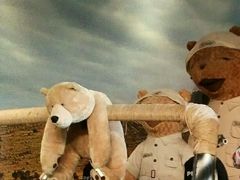 -济州岛泰迪熊博物馆