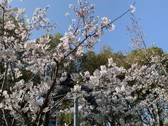 -龙美术馆(西岸馆)