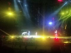 -灵玲国际马戏城