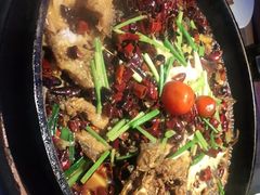 -老板恋上鱼(恒隆广场店)