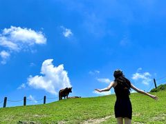 -大姆山草场