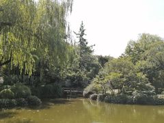 -秋霞圃