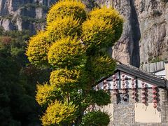 -雁荡山风景名胜区