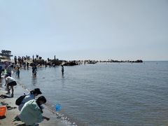 -老虎石海上公园