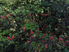 -萍乡武功山风景名胜区