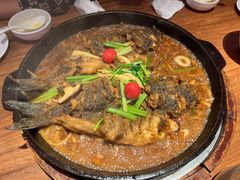 -老板恋上鱼(恒隆广场店)