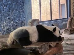 -海南热带野生动植物园