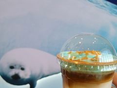 -抱抱地球咖啡馆(国家海洋博物馆店)