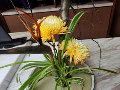 -南堂馆·新川菜(天府三街店)